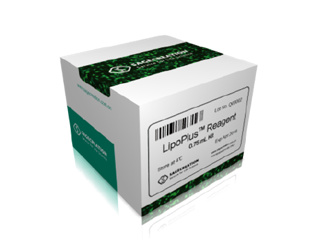 Sage LipoPlus ® DNA Transfection Reagent