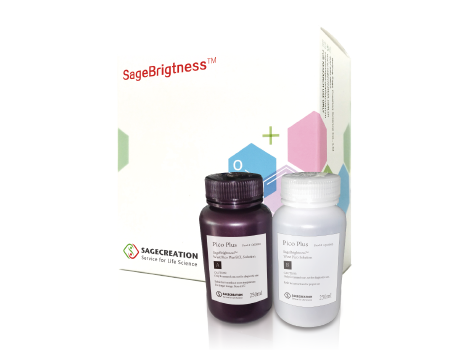 SageBrightness ® Enhanced Chemiluminescence Substrate Solution